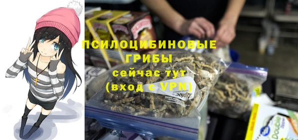 а пвп мука Алексин